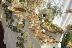 WhatsApp-Image-2026-02-18-at-3.21.56-P