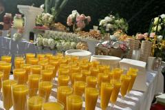 WhatsApp-Image-2026-02-18-at-3.12.49-